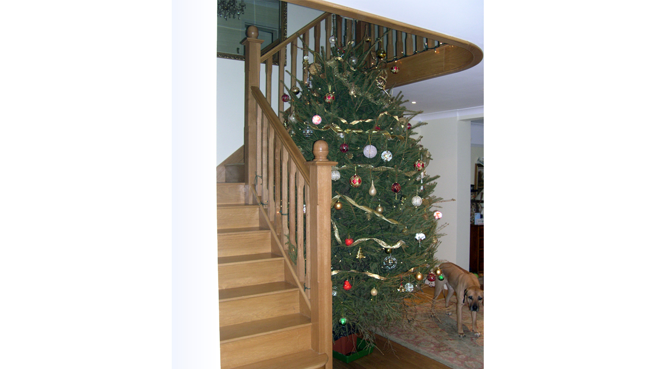 Coates_Hill_Architect_House_Stairs_Photograph
